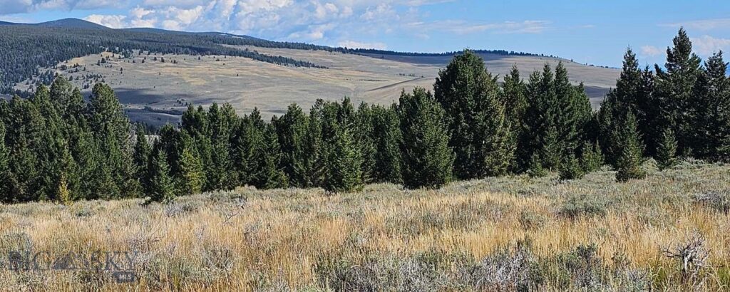 , Dillon MT 59725