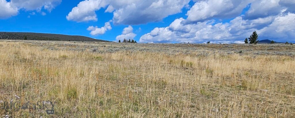 , Dillon MT 59725