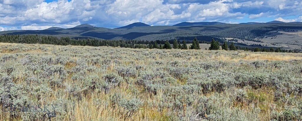 , Dillon MT 59725