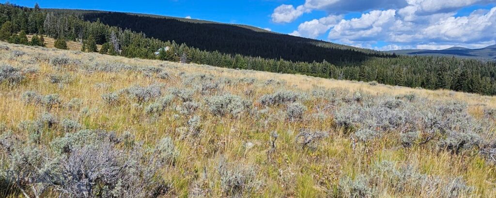 , Dillon MT 59725