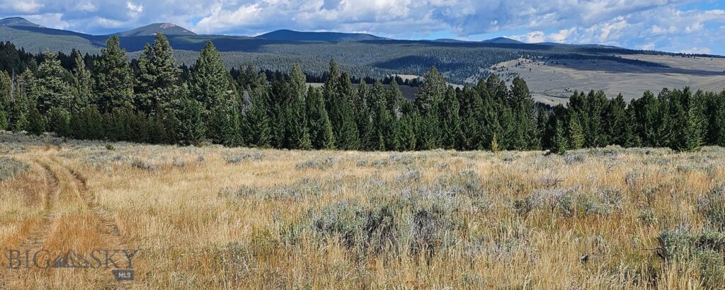, Dillon MT 59725