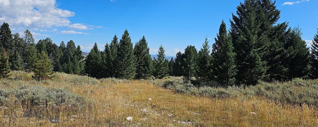 , Dillon MT 59725