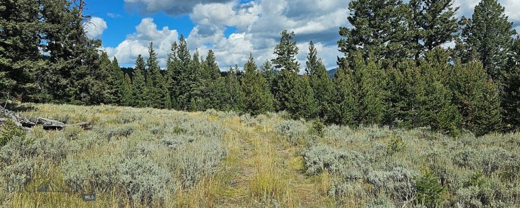 , Dillon MT 59725