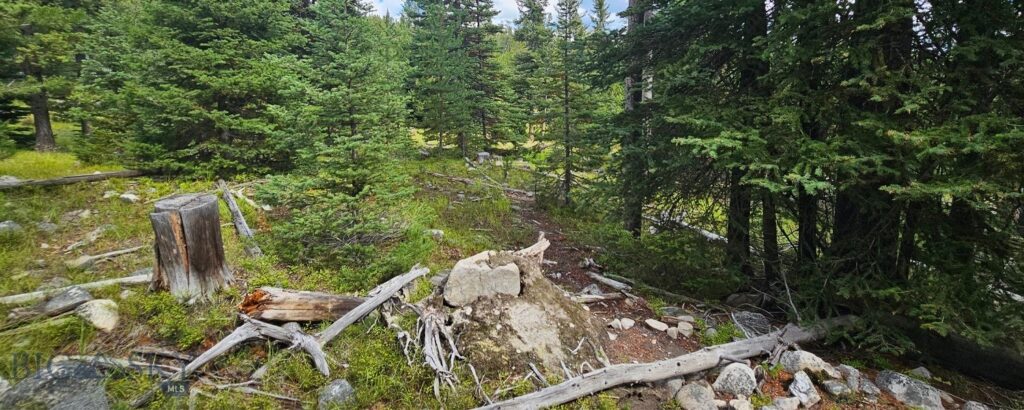 , Dillon MT 59725