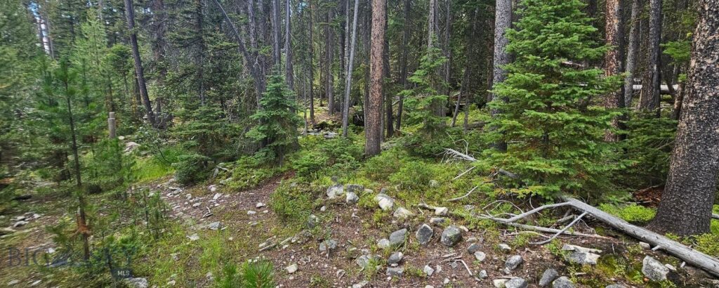 , Dillon MT 59725