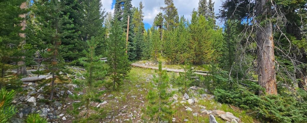 , Dillon MT 59725