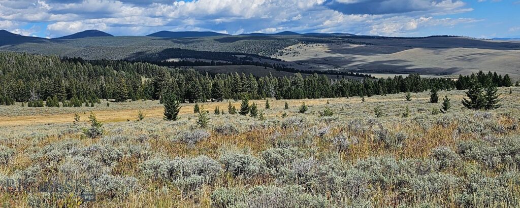 , Dillon MT 59725