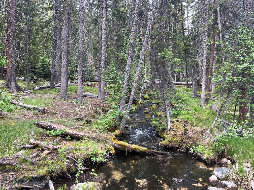 , Dillon MT 59725