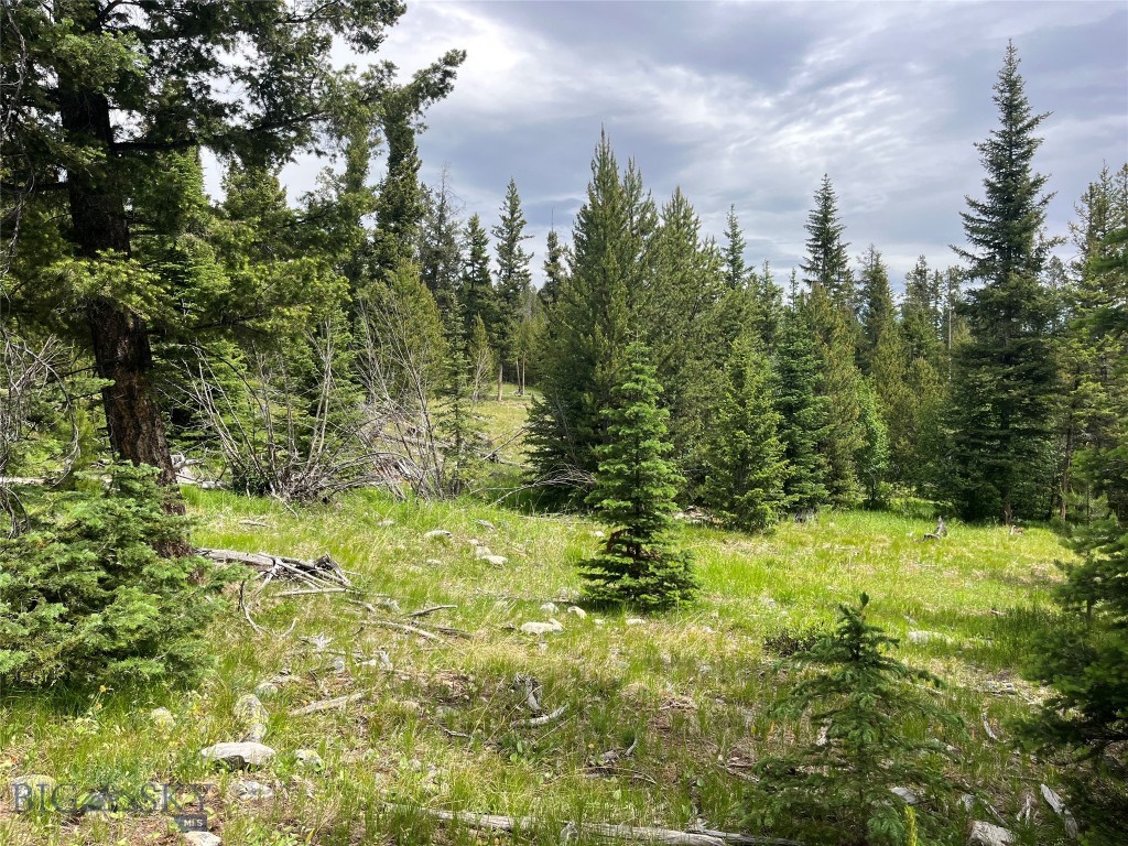 , Dillon MT 59725