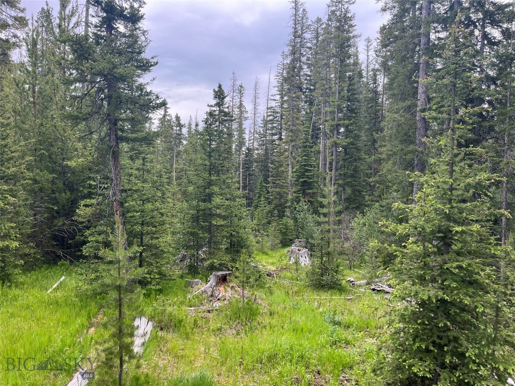 , Dillon MT 59725