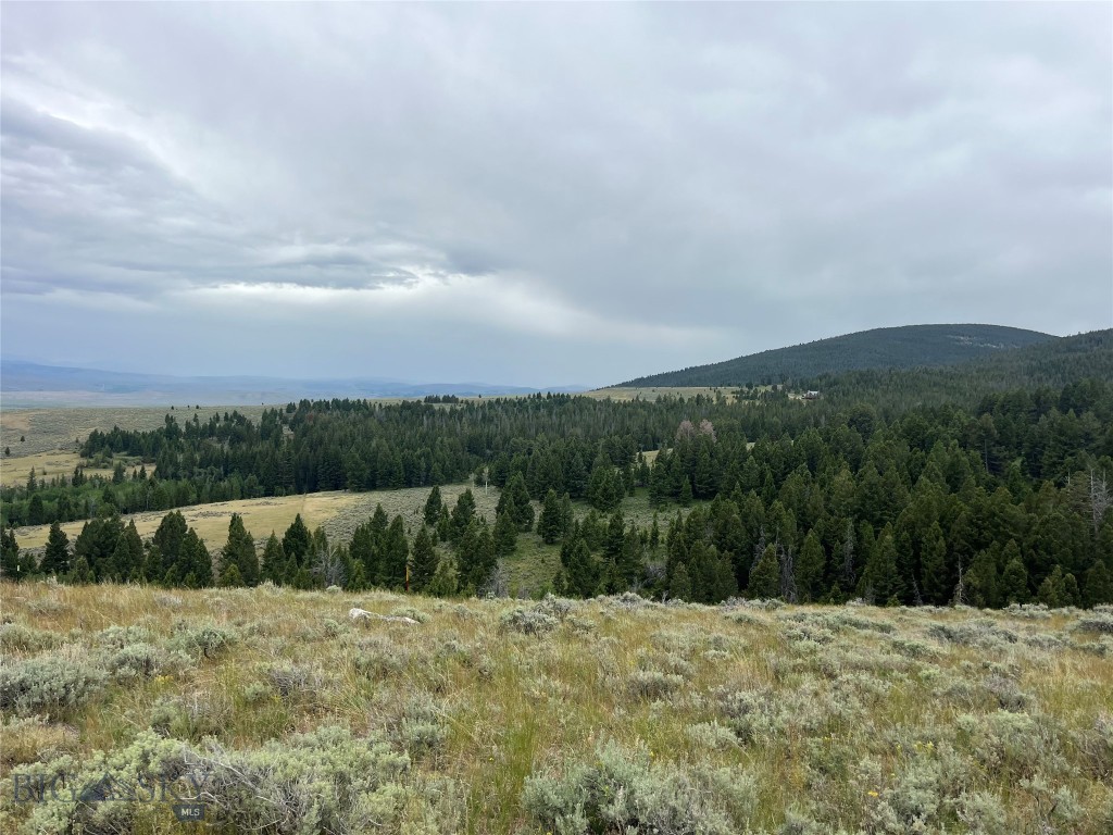 , Dillon MT 59725