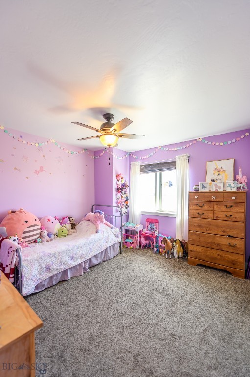 319 Morrison Lane, Dillon MT 59725