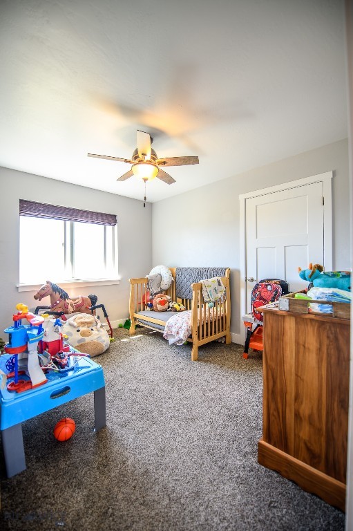 319 Morrison Lane, Dillon MT 59725