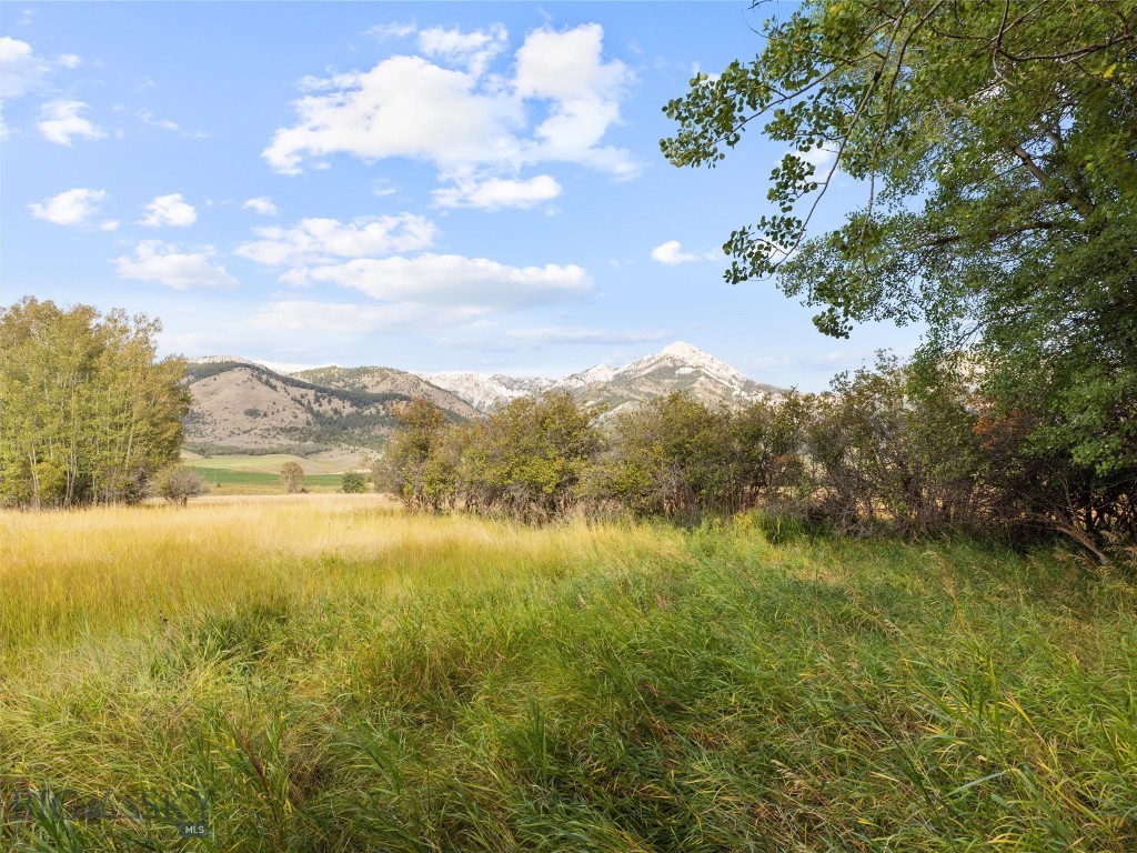 TBD Springhill Community Road Road, Belgrade MT 59714