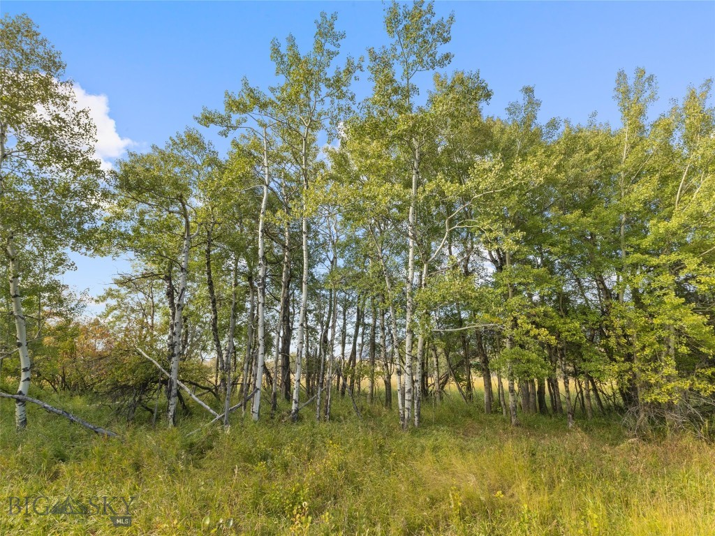 TBD Springhill Community Road Road, Belgrade MT 59714