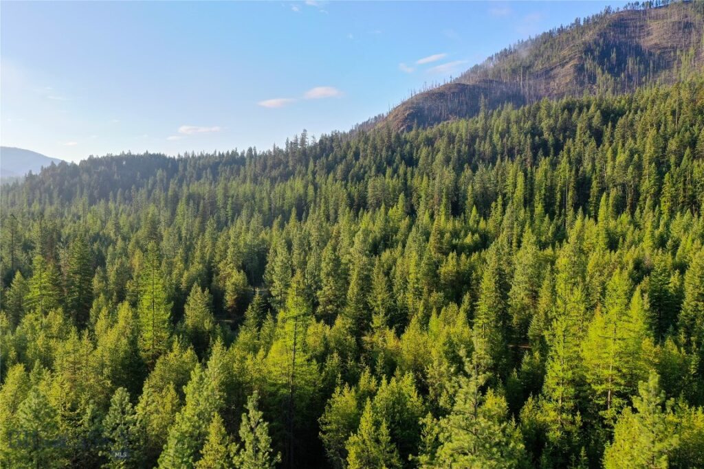 TBD Cougar Creek Way, Superior MT 59872