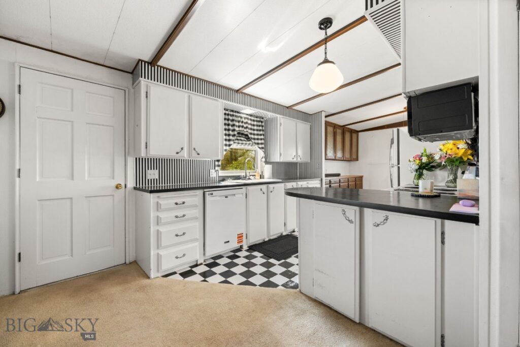 170 Pioneer Drive, Dillon MT 59725