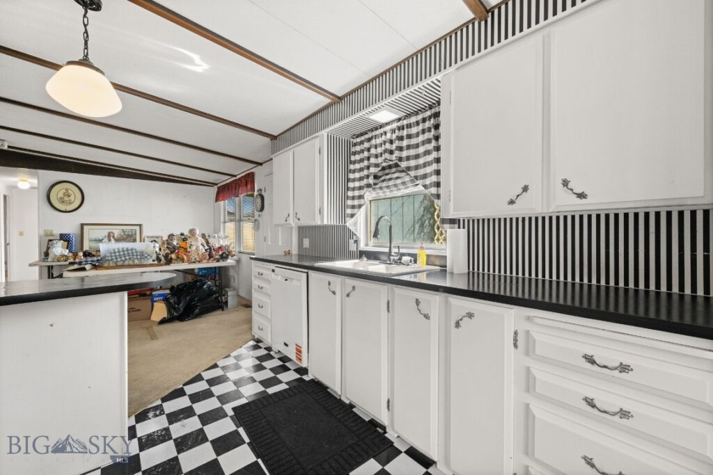170 Pioneer Drive, Dillon MT 59725