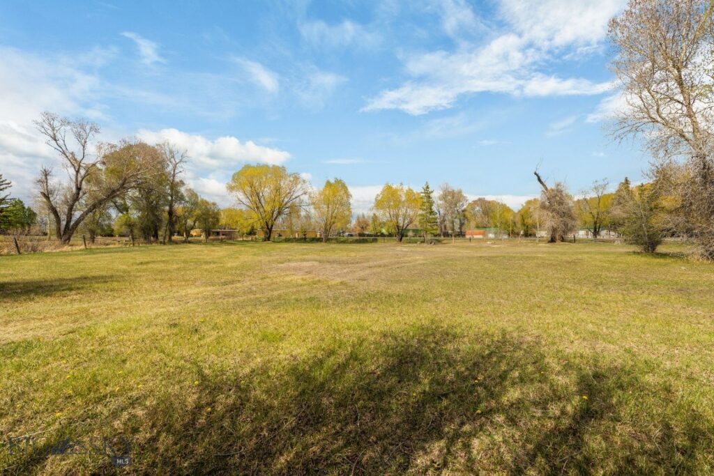 170 Pioneer Drive, Dillon MT 59725