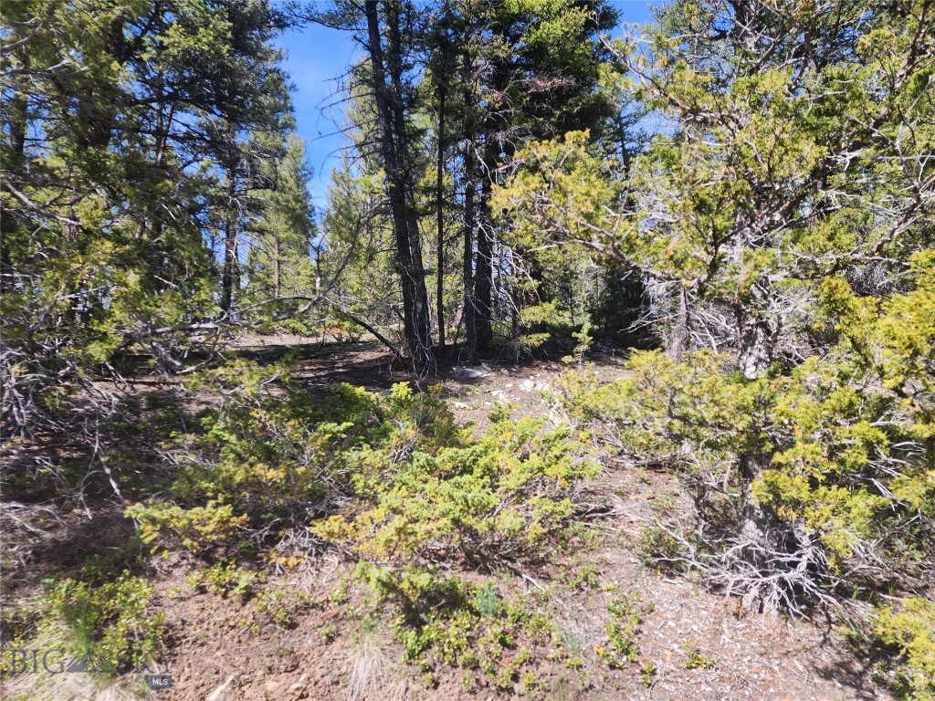 NHN Boarding House Flats, Philipsburg MT 59858