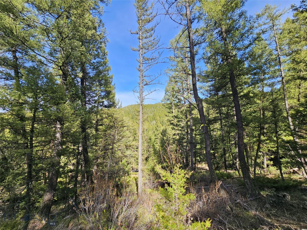 NHN Boarding House Flats, Philipsburg MT 59858