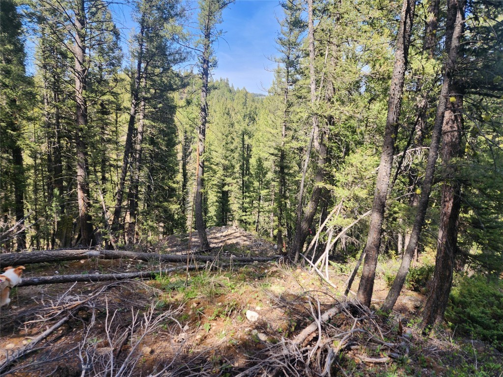NHN Boarding House Flats, Philipsburg MT 59858