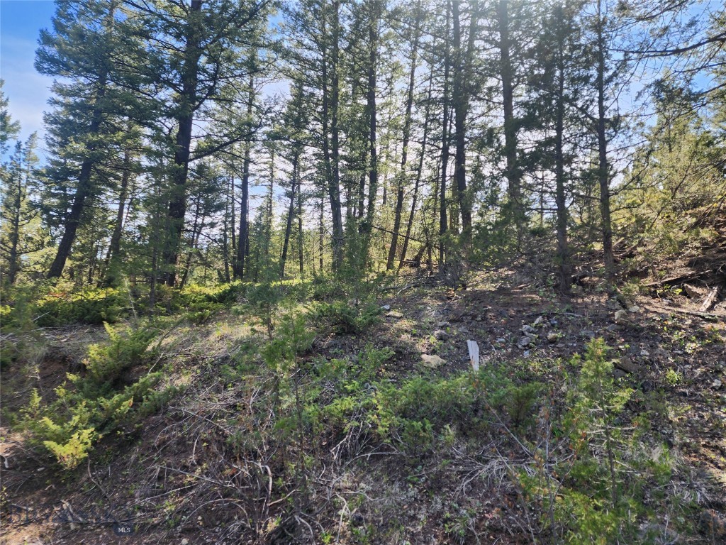 NHN Boarding House Flats, Philipsburg MT 59858