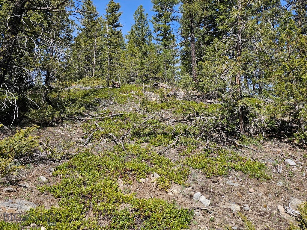 NHN Boarding House Flats, Philipsburg MT 59858