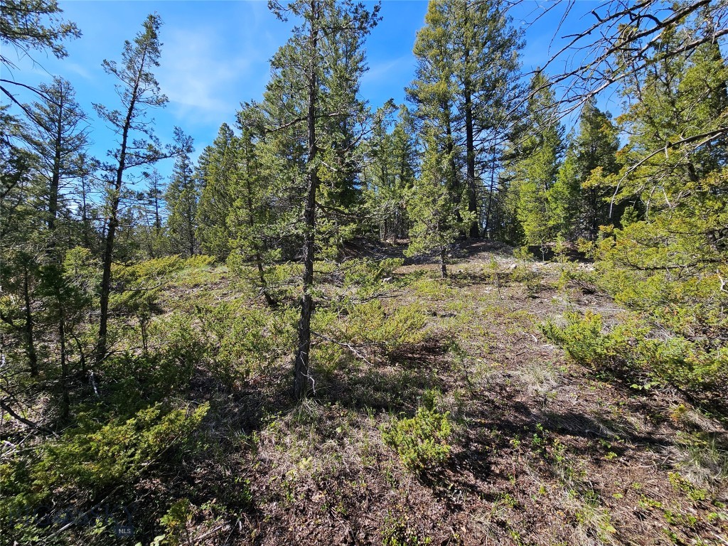NHN Boarding House Flats, Philipsburg MT 59858