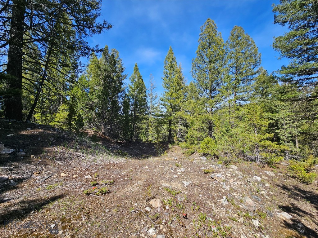 NHN Boarding House Flats, Philipsburg MT 59858