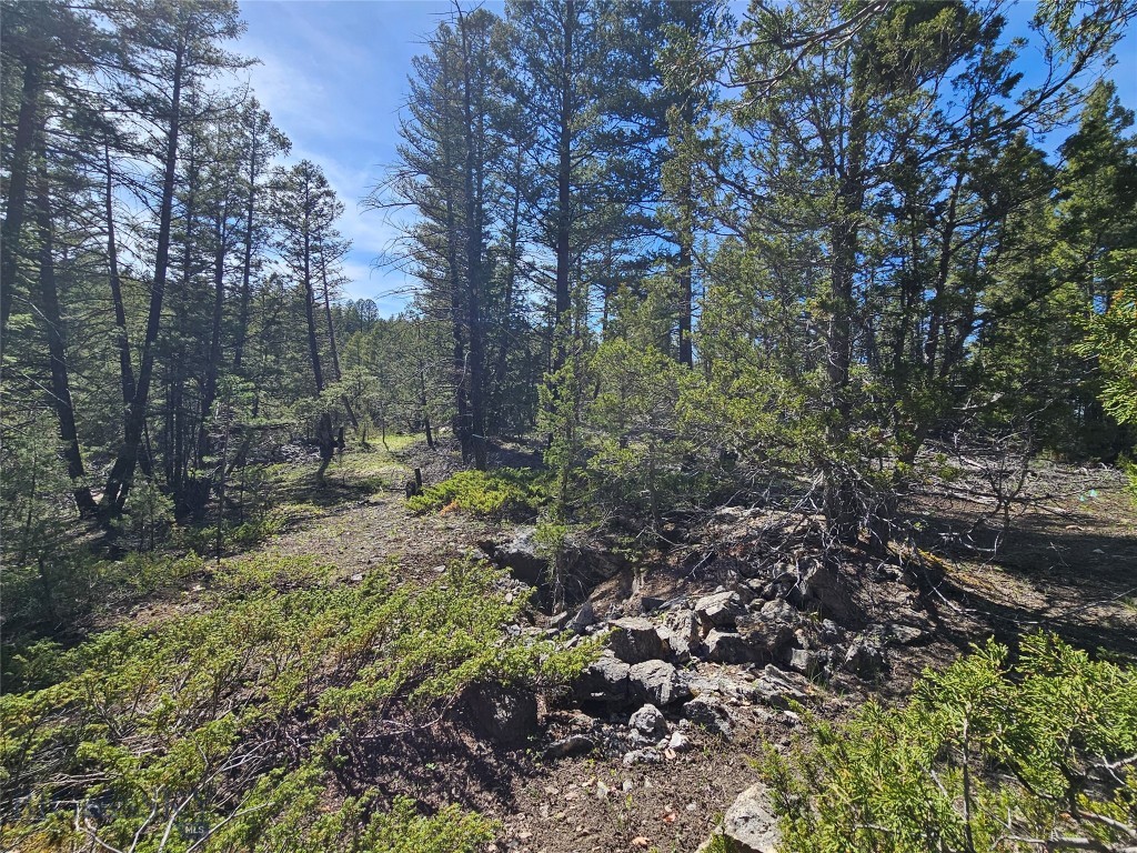 NHN Boarding House Flats, Philipsburg MT 59858