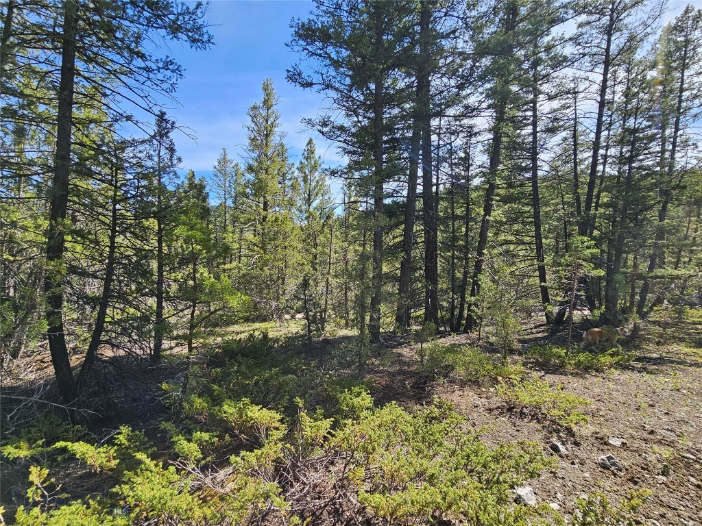 NHN Boarding House Flats, Philipsburg MT 59858