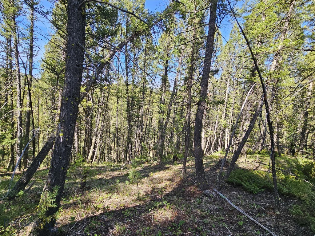 NHN Boarding House Flats, Philipsburg MT 59858