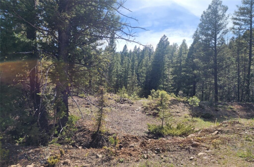 NHN Boarding House Flats, Philipsburg MT 59858