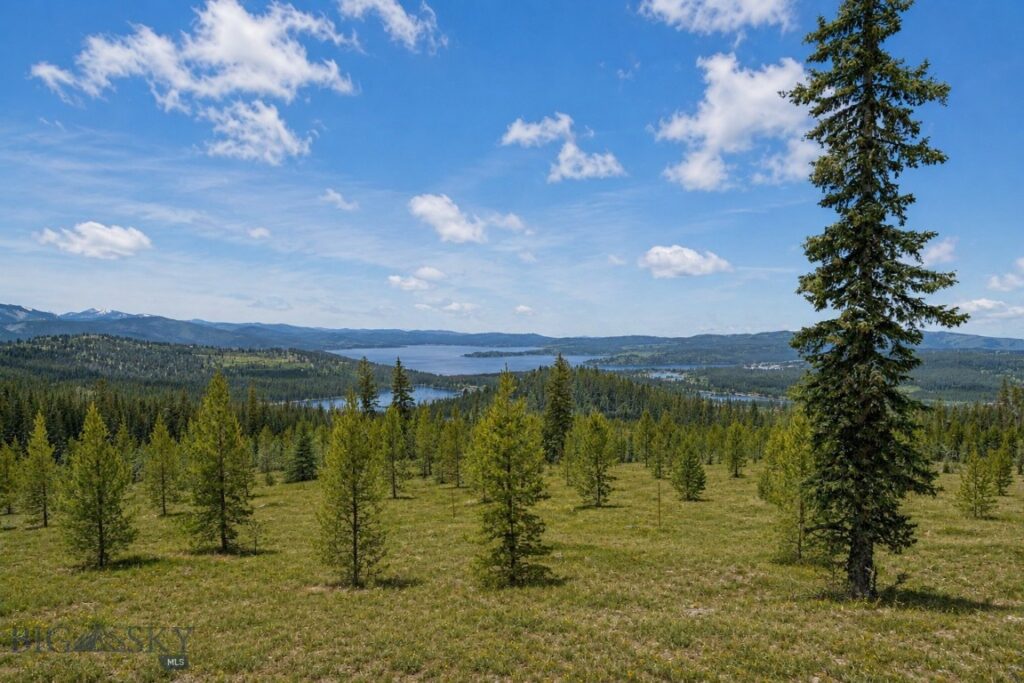 105 Damsel Lane, Anaconda MT 59711