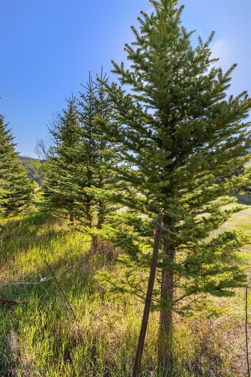 TBD US HWY 89 S, Gardiner MT 59030