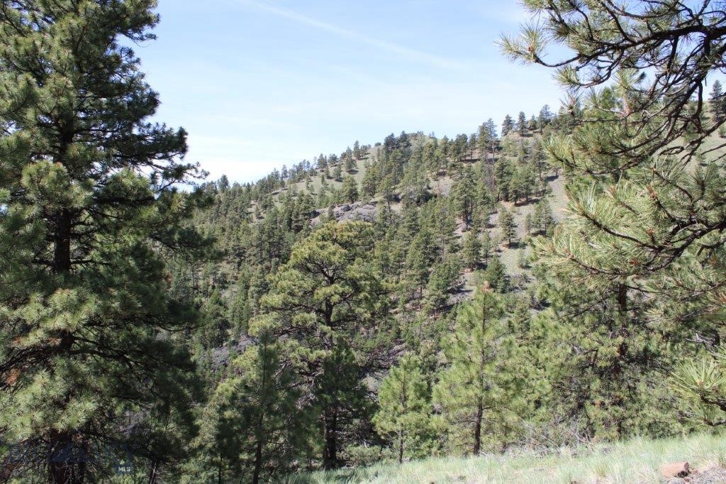 6 Pine Coulee, Cascade MT 59421
