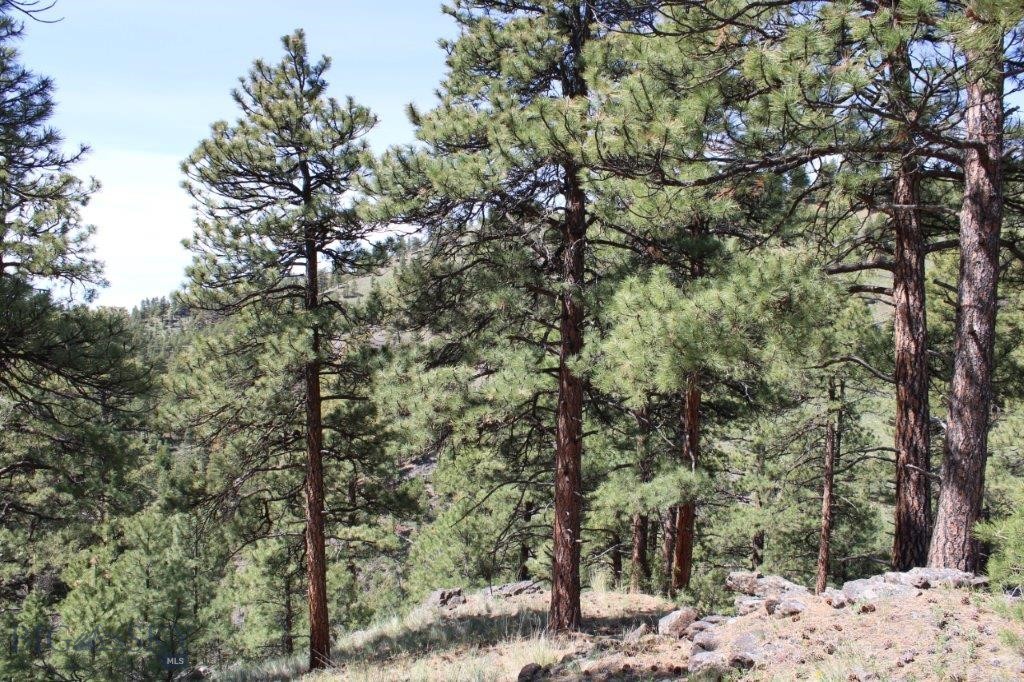 6 Pine Coulee, Cascade MT 59421
