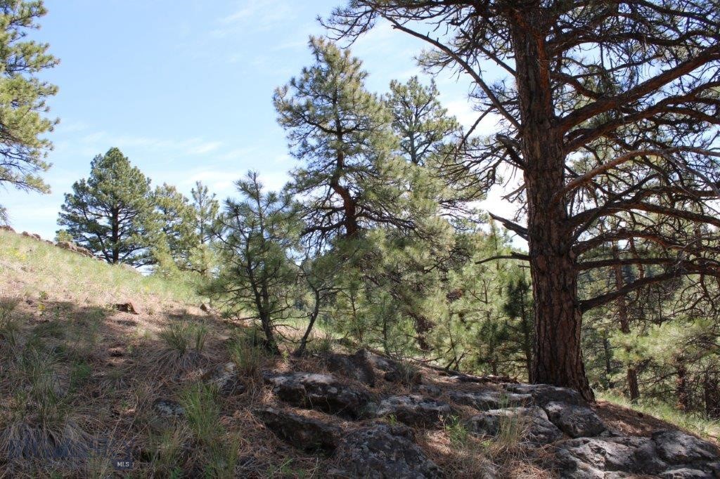 6 Pine Coulee, Cascade MT 59421