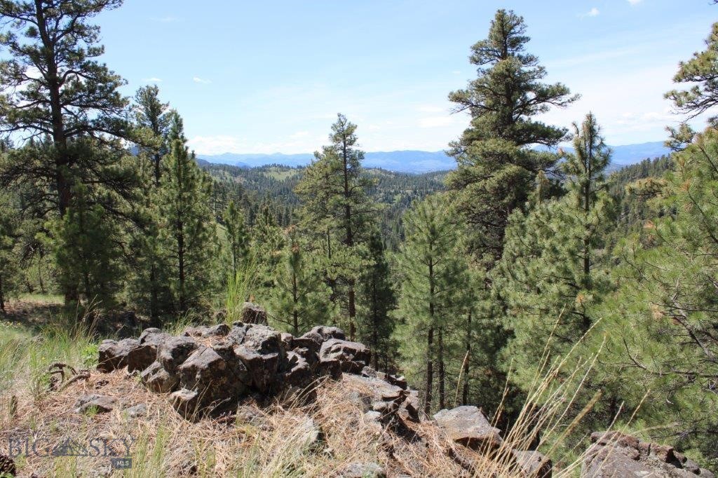 6 Pine Coulee, Cascade MT 59421