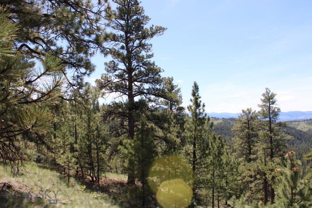 6 Pine Coulee, Cascade MT 59421