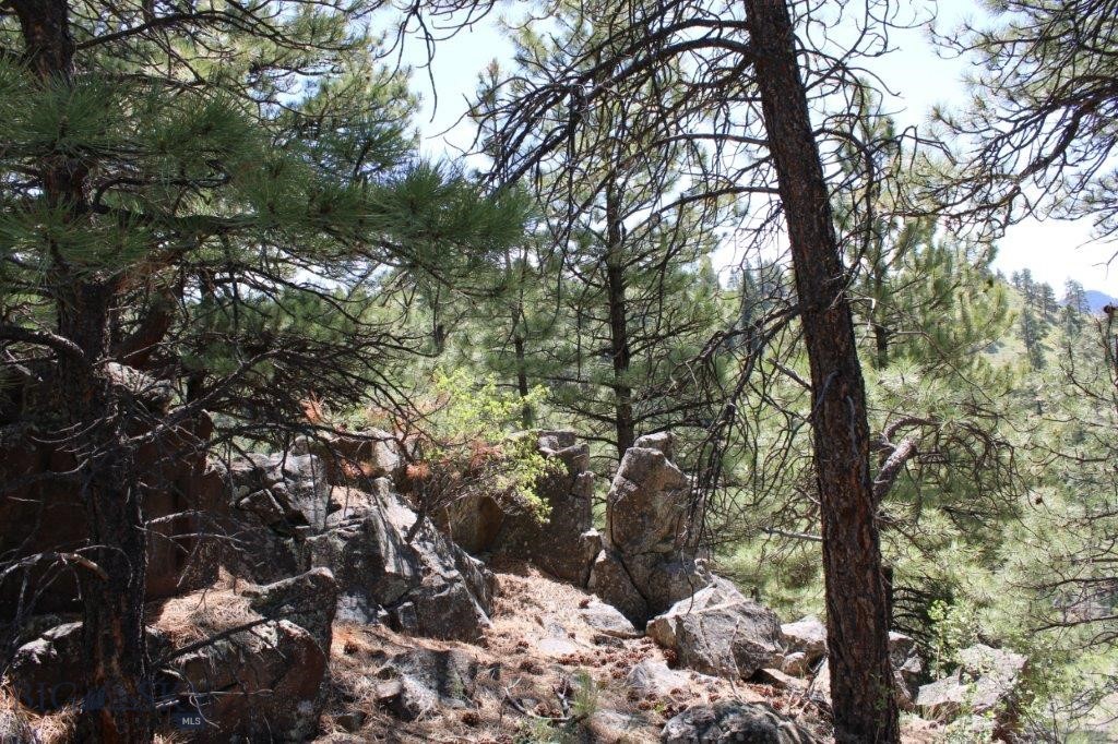 6 Pine Coulee, Cascade MT 59421
