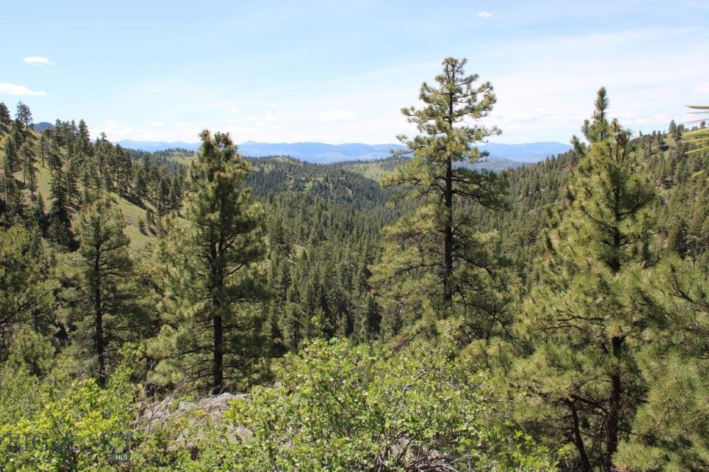 6 Pine Coulee, Cascade MT 59421