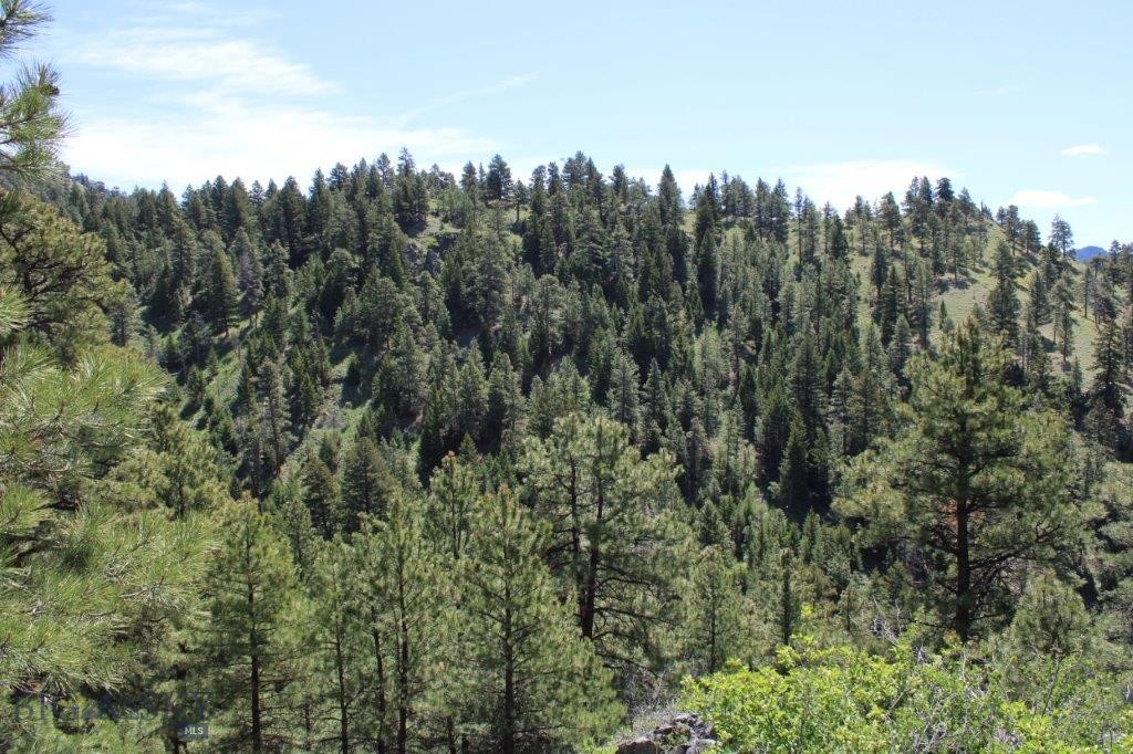 6 Pine Coulee, Cascade MT 59421