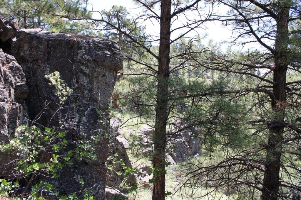 6 Pine Coulee, Cascade MT 59421