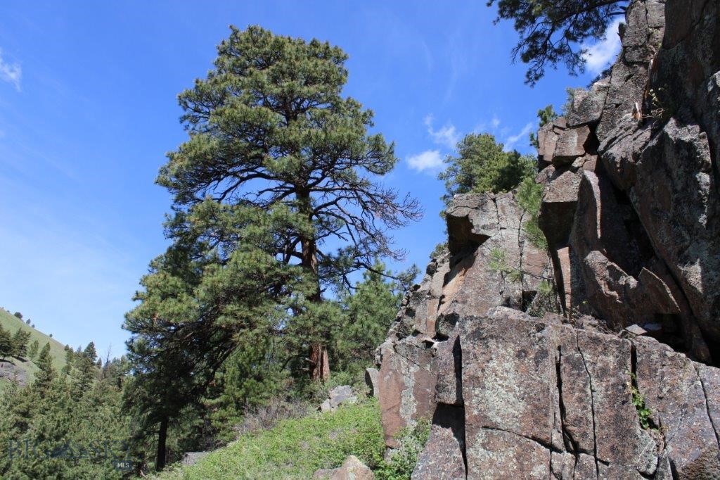 6 Pine Coulee, Cascade MT 59421