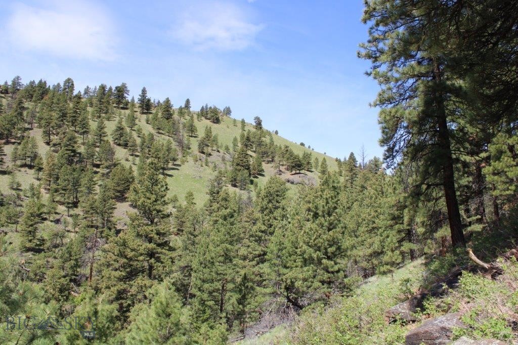 6 Pine Coulee, Cascade MT 59421