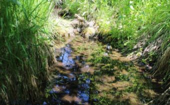 6 Pine Coulee, Cascade MT 59421