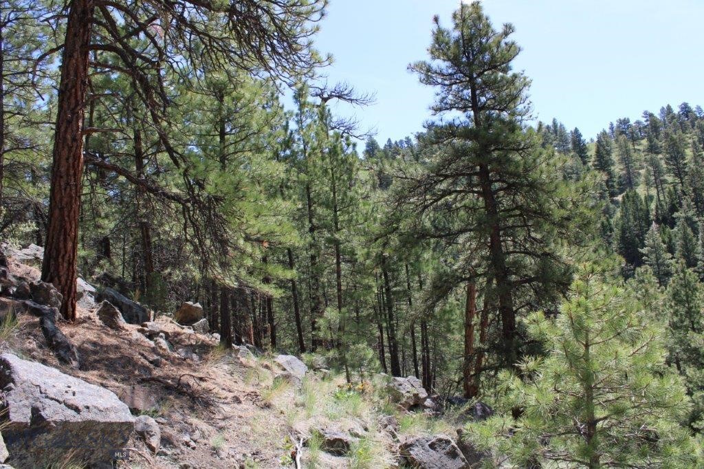 6 Pine Coulee, Cascade MT 59421