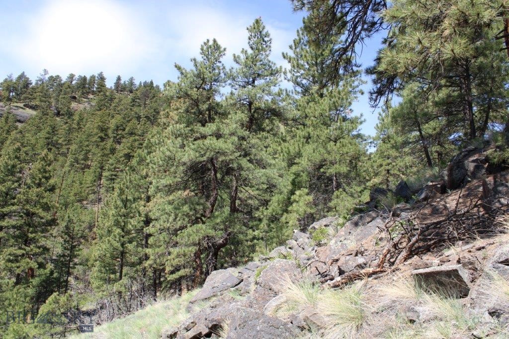 6 Pine Coulee, Cascade MT 59421